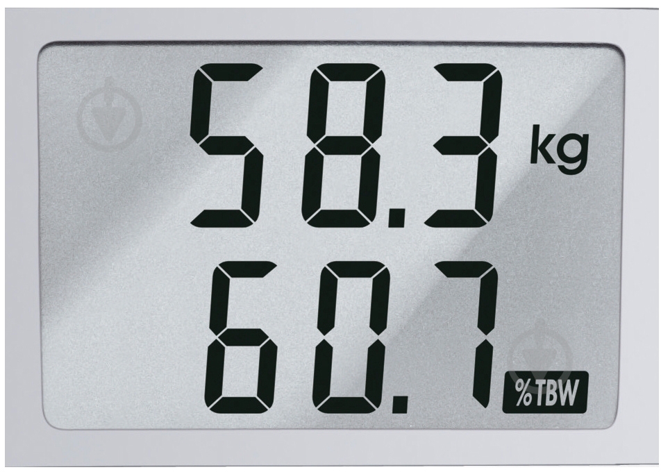 Весы напольные Bosch PPW3120 - фото 5