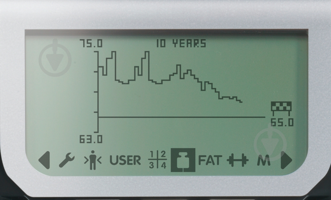Весы напольные Bosch PPW7170 - фото 5