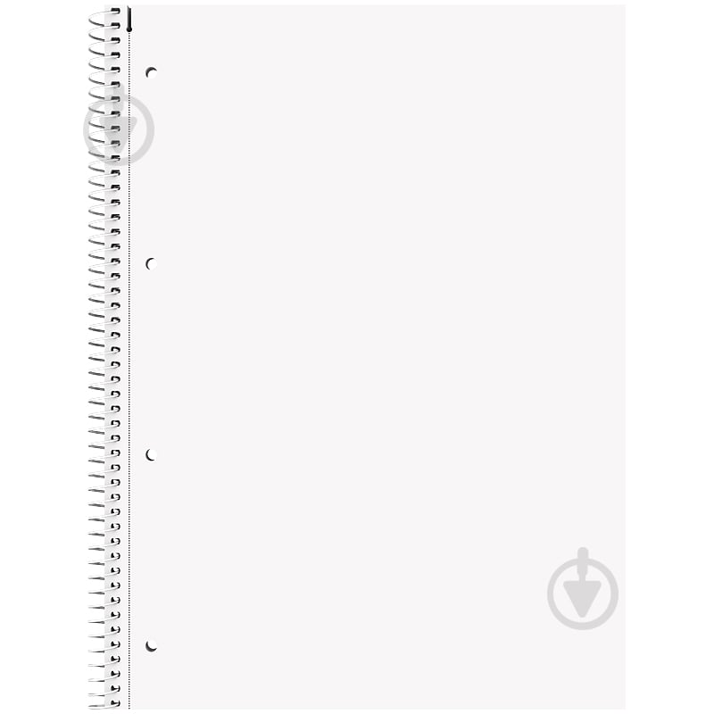 Колледж-блок Brunnen Premium А4 - фото 3