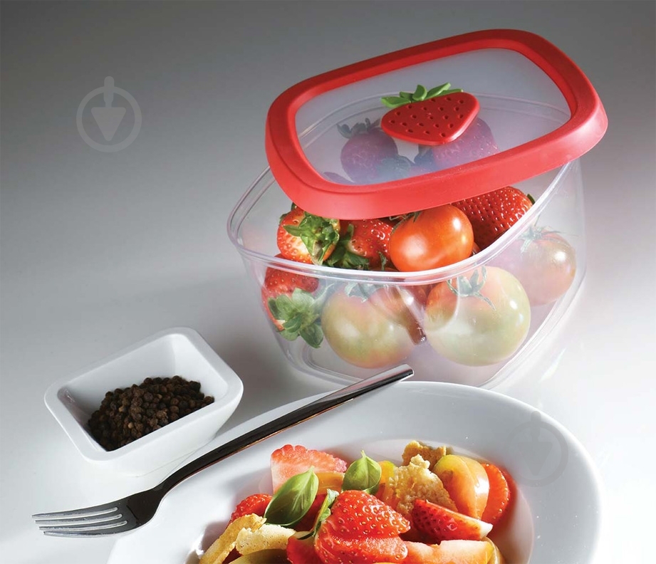 Контейнер Snips 21430 - фото 2