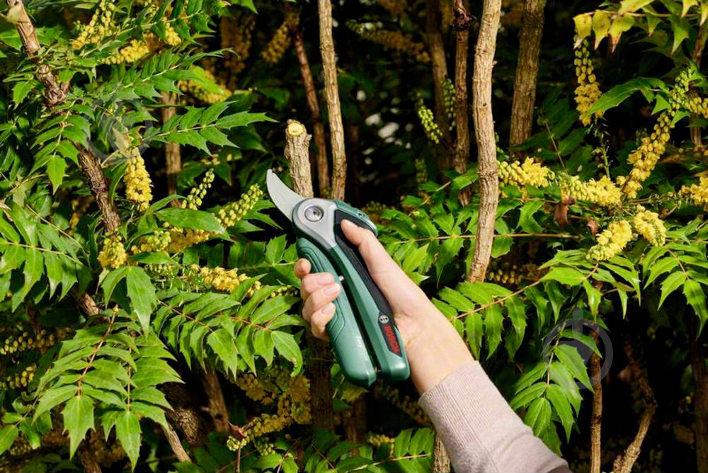 Секатор Bosch акумуляторний EasyPrune 0.600.8B2.000 (0.600.8B2.000) - фото 10