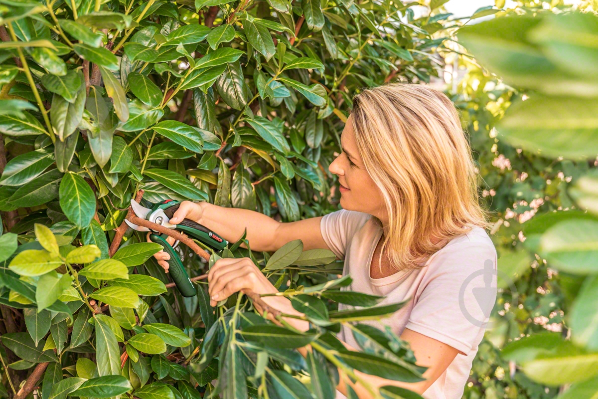 Секатор Bosch акумуляторний EasyPrune 0.600.8B2.000 (0.600.8B2.000) - фото 4