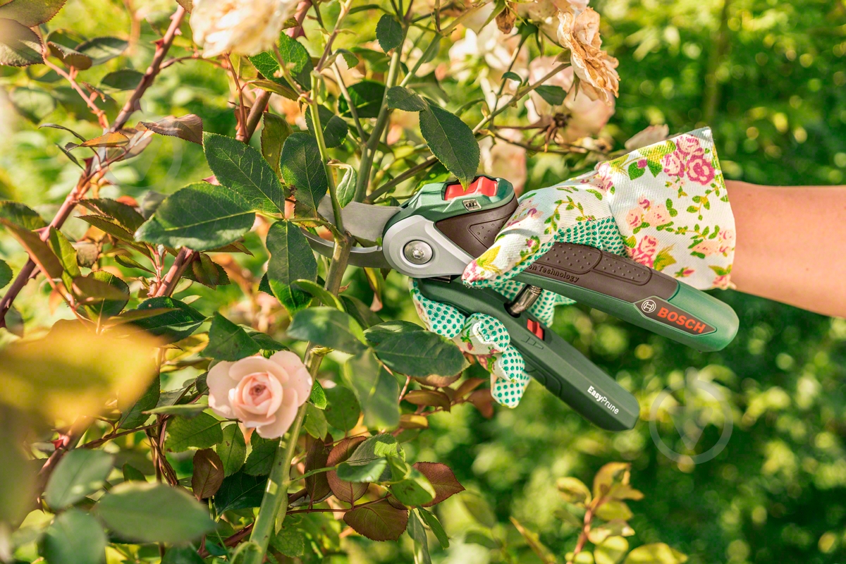 Секатор Bosch акумуляторний EasyPrune 0.600.8B2.000 (0.600.8B2.000) - фото 5