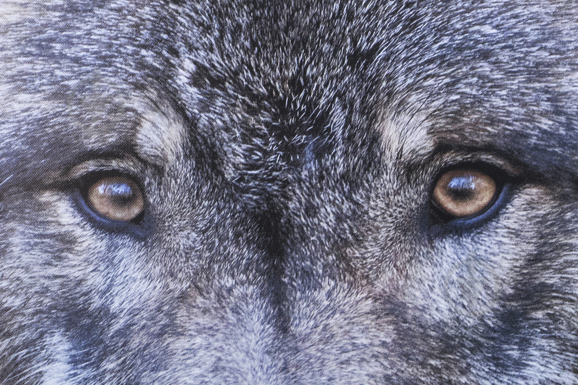 Репродукція Russian wolf 80-13 80x80 см - фото 3 Репродукція Russian wolf 80-13 80x80 см - фото 3