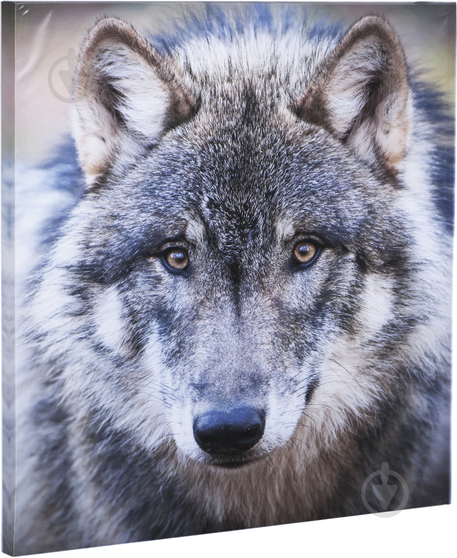 Репродукція Russian wolf 80-13 80x80 см - фото 2 Репродукція Russian wolf 80-13 80x80 см - фото 2