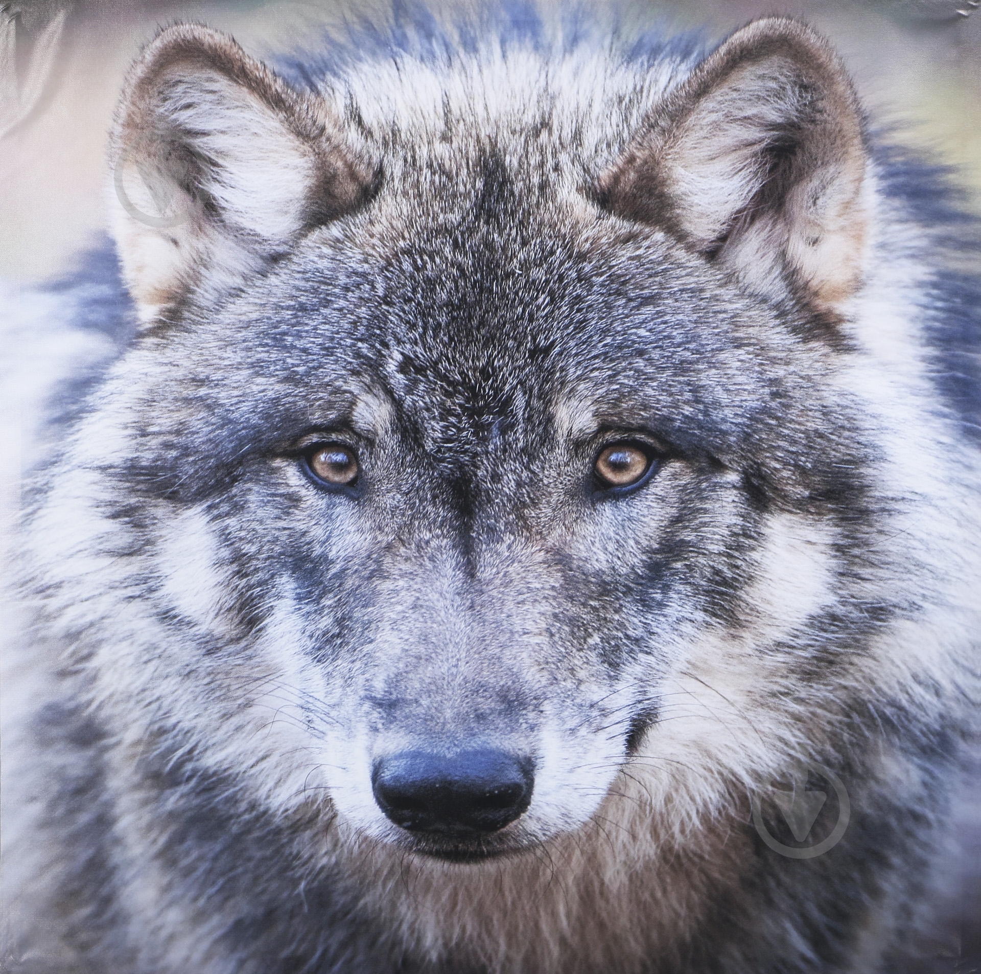 Репродукція Russian wolf 80-13 80x80 см - фото 1 Репродукція Russian wolf 80-13 80x80 см - фото 1