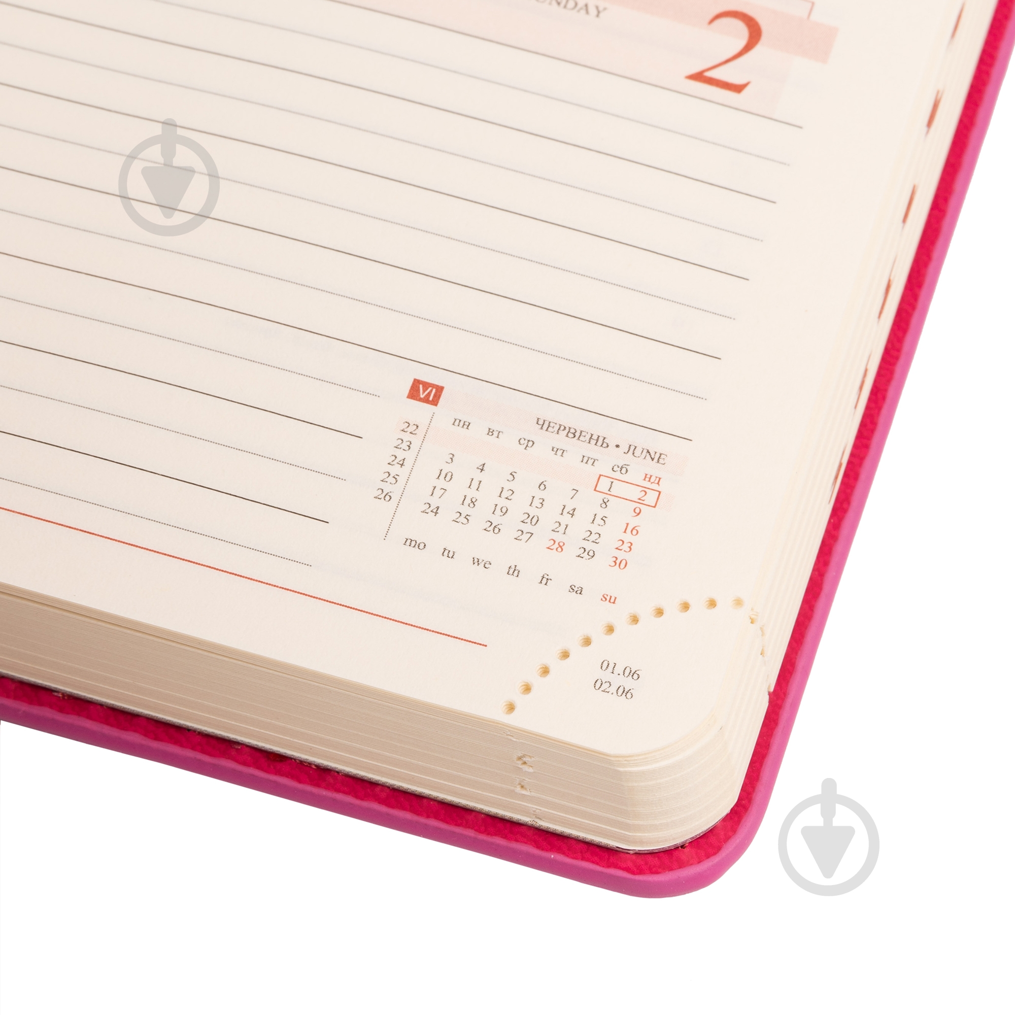 Щоденник датований сливовий 352 стор. Leo Planner Destiny A6 2024 - фото 8