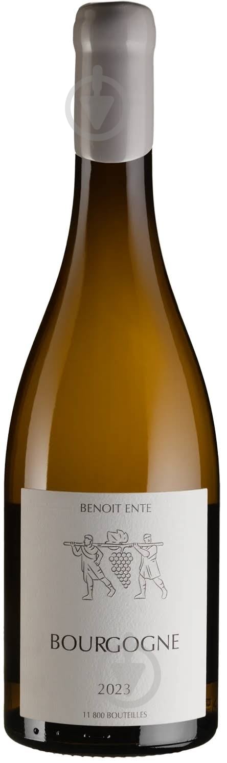 Вино Benoit Ente Bourgogne Chardonnay 2023 0,75 л - фото 1 Вино Benoit Ente Bourgogne Chardonnay 2023 0,75 л - фото 1