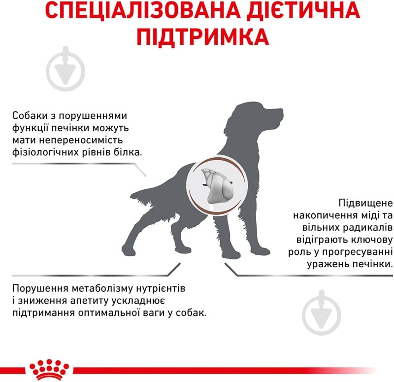 Корм сухой для взрослых собак для всех пород Royal Canin HEPATIC CANINE (Гепатик Канин), 1,5 кг 1,5 кг - фото 5 Корм сухой для взрослых собак для всех пород Royal Canin HEPATIC CANINE (Гепатик Канин), 1,5 кг 1,5 кг - фото 5