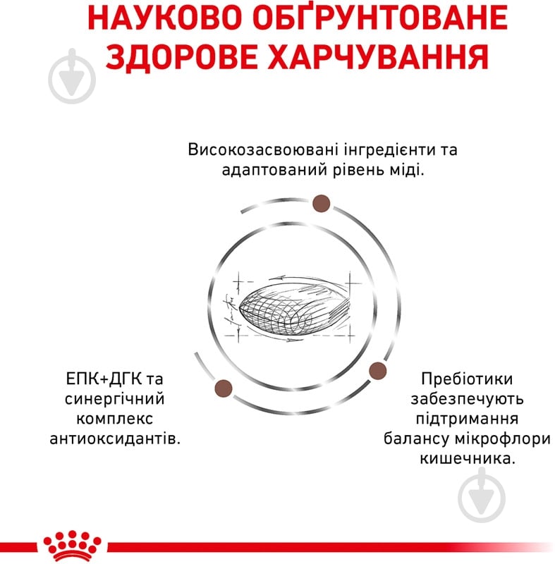 Корм сухой для взрослых собак для всех пород Royal Canin HEPATIC CANINE (Гепатик Канин), 1,5 кг 1,5 кг - фото 2 Корм сухой для взрослых собак для всех пород Royal Canin HEPATIC CANINE (Гепатик Канин), 1,5 кг 1,5 кг - фото 2
