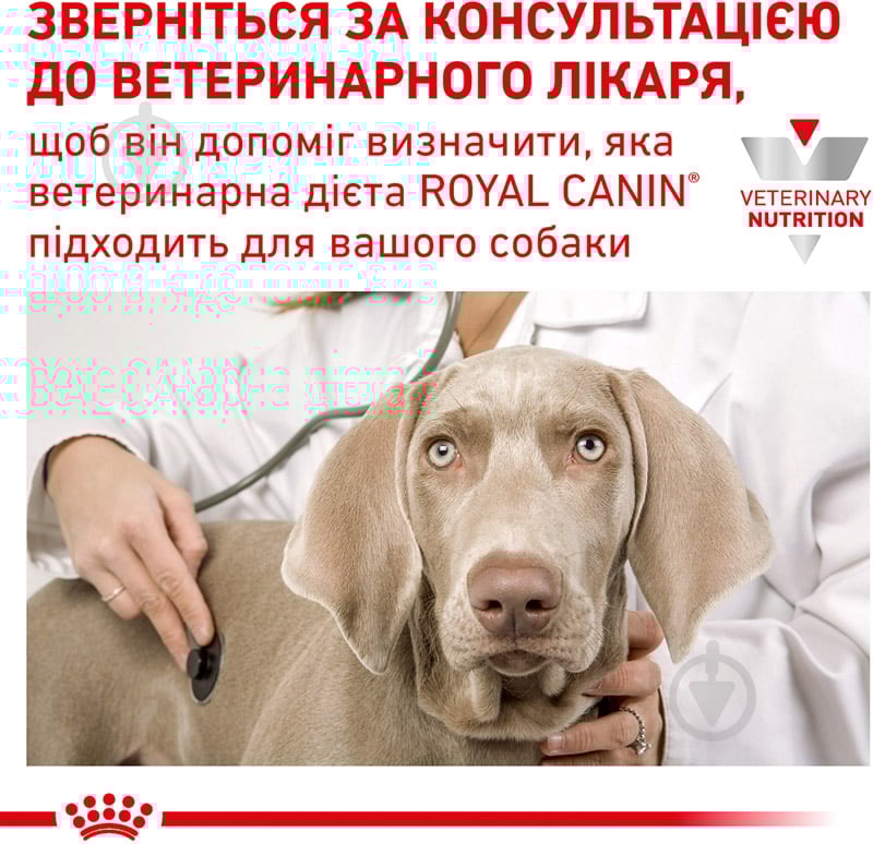 Корм сухой для взрослых собак с нарушениями пищеварения для всех пород Royal Canin GASTRO INTESTINAL LOW FAT (Гастро-Интестинал Лоу Фет Канин), 1,5 кг 1,5 кг - фото 8