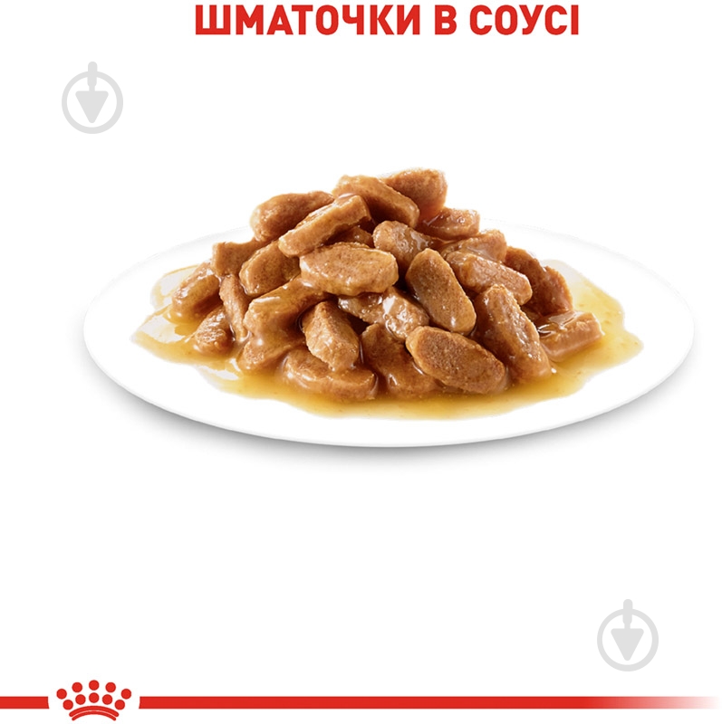 Корм влажный для щенков для средних пород Royal Canin MEDIUM PUPPY (Медиум Паппи соус), пауч, 140 г 140 г - фото 4 Корм влажный для щенков для средних пород Royal Canin MEDIUM PUPPY (Медиум Паппи соус), пауч, 140 г 140 г - фото 4