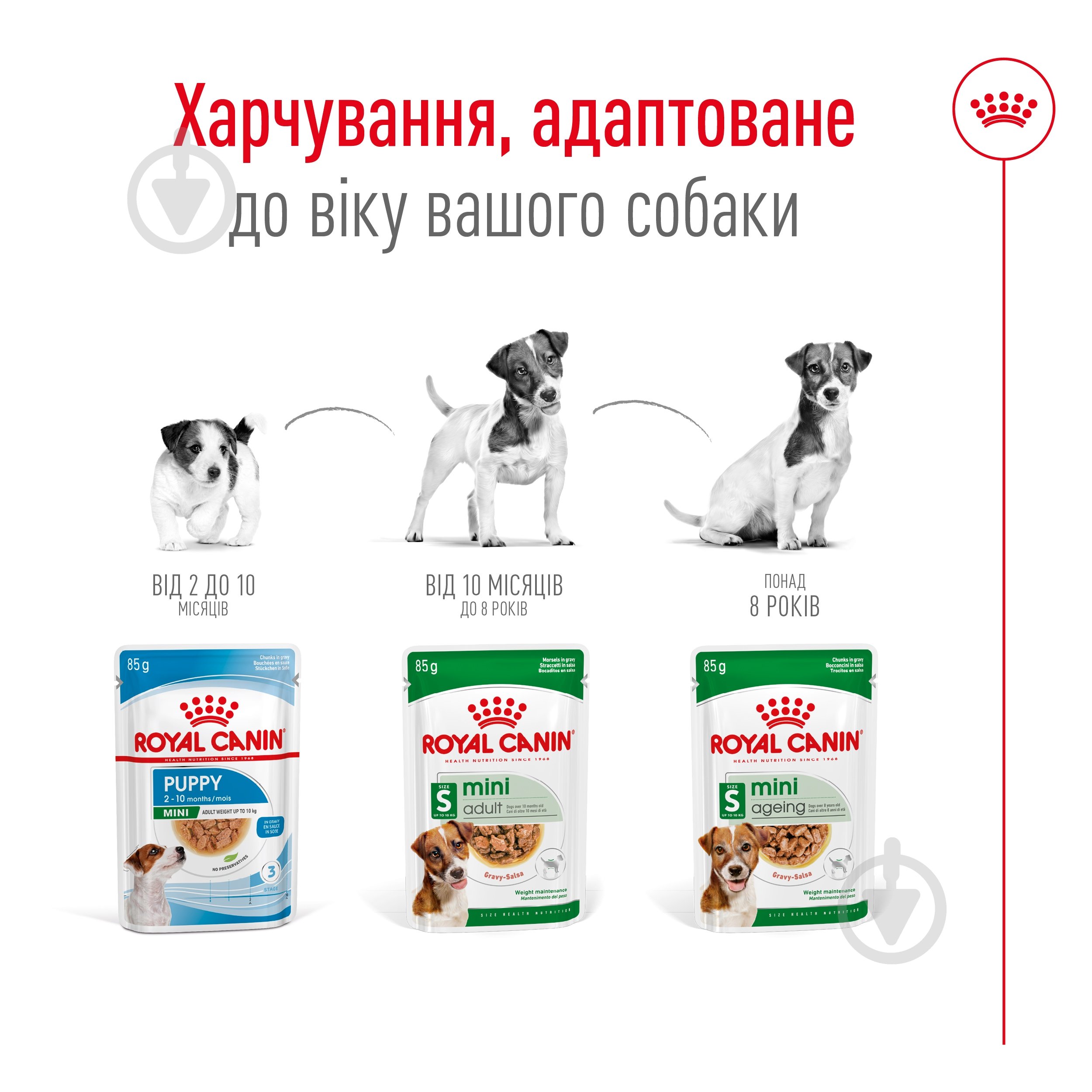 Корм влажный Royal Canin MINI ADULT (Мини Эдалт соус), пауч, 85 г 85 г - фото 4 Корм влажный Royal Canin MINI ADULT (Мини Эдалт соус), пауч, 85 г 85 г - фото 4