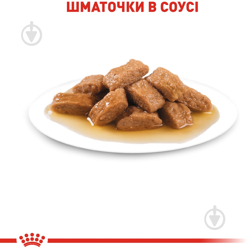 Корм влажный для взрослых собак для средних пород Royal Canin MEDIUM ADULT (Медиум Эдалт соус), пауч,140 г 140 г - фото 4 Корм влажный для взрослых собак для средних пород Royal Canin MEDIUM ADULT (Медиум Эдалт соус), пауч,140 г 140 г - фото 4