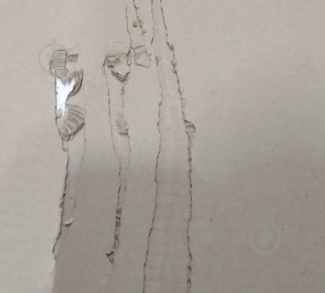 УЦЕНКА! Шкаф 1д Concept дуб крафт серый / нимфея альба (УЦ №2935) - фото 4 УЦЕНКА! Шкаф 1д Concept дуб крафт серый / нимфея альба (УЦ №2935) - фото 4