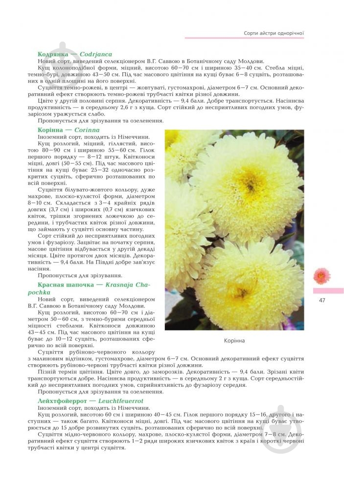 Книга Владимир Черняк «Астры Биологические особенности Выращивания Використання Сорта (М)» 978-966-10-1448-9 - фото 4