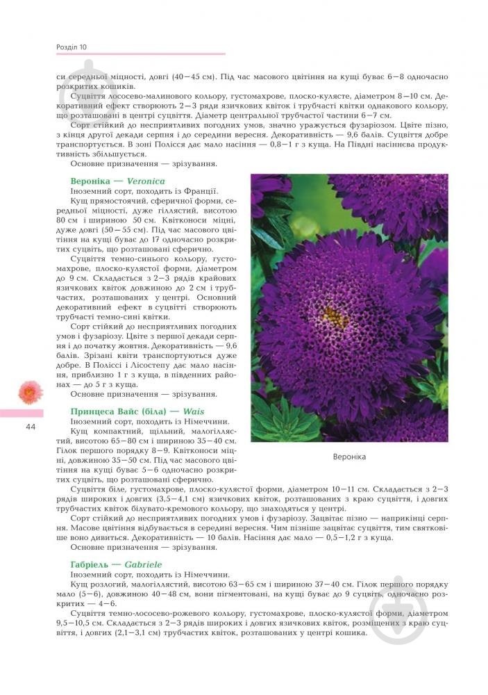 Книга Владимир Черняк «Астры Биологические особенности Выращивания Використання Сорта (М)» 978-966-10-1448-9 - фото 3