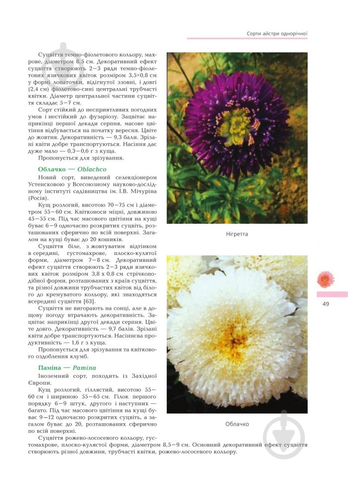 Книга Владимир Черняк «Астры Биологические особенности Выращивания Використання Сорта (М)» 978-966-10-1448-9 - фото 5