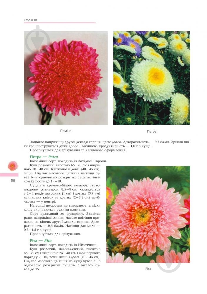 Книга Владимир Черняк «Астры Биологические особенности Выращивания Використання Сорта (М)» 978-966-10-1448-9 - фото 6