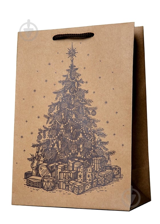 Пакет подарочный BC009 KINZA - фото 1