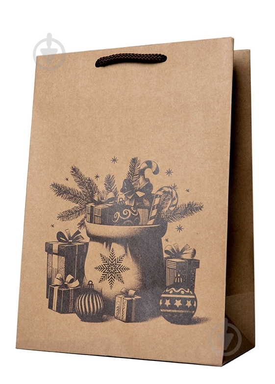 Пакет подарунковий BC010 KINZA - фото 1