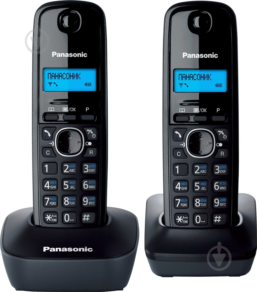 Телефон Panasonic KX-TG1612UAH Grey + дополнительная трубка - фото 1