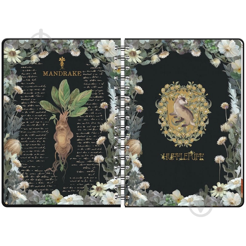 Ежедневник на спирали Harry Potter твердая обкладинка HP23-438 - фото 6 Ежедневник на спирали Harry Potter твердая обкладинка HP23-438 - фото 6