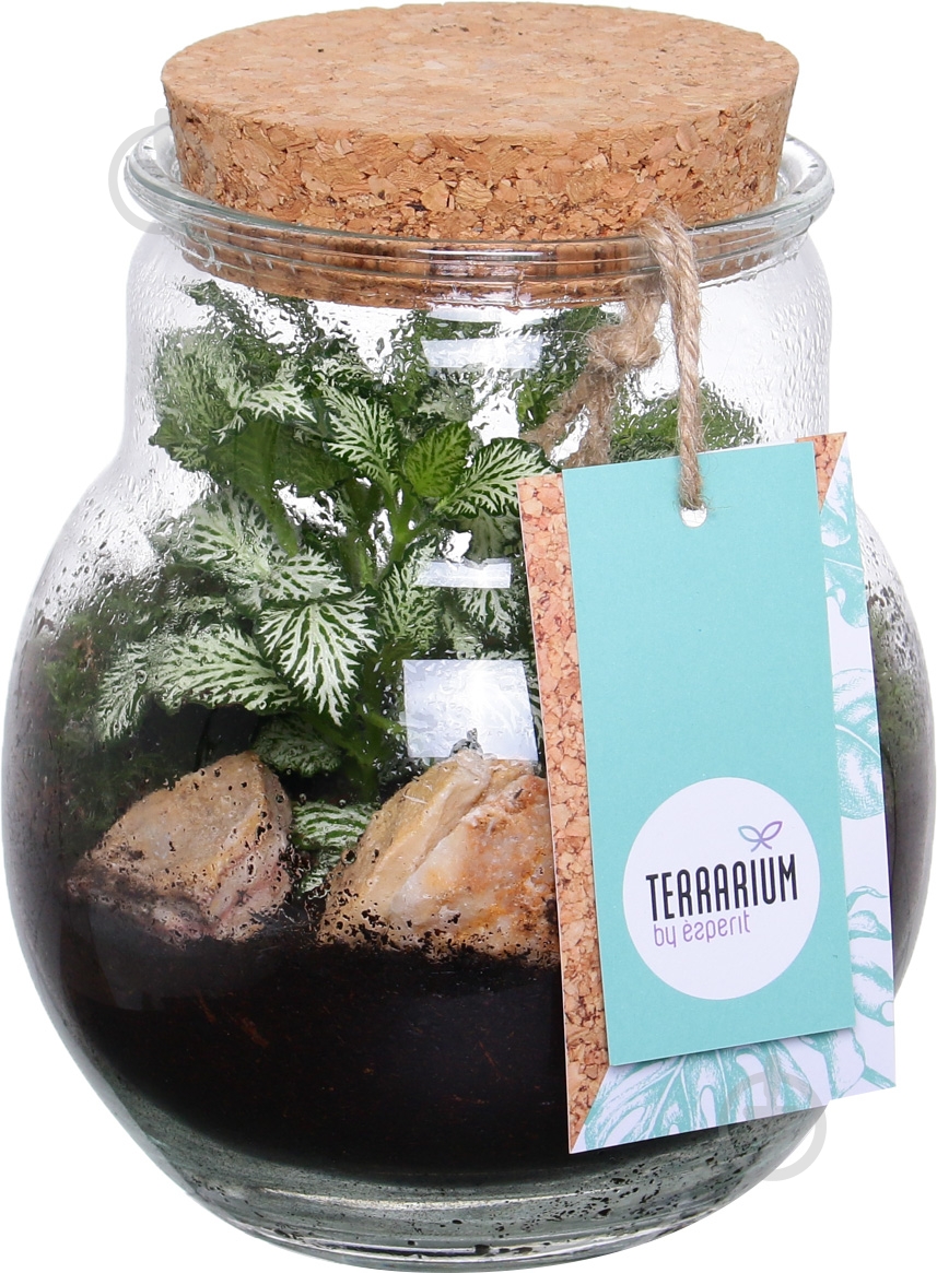 Тераріум у пляшці 16х20 см - фото 5
