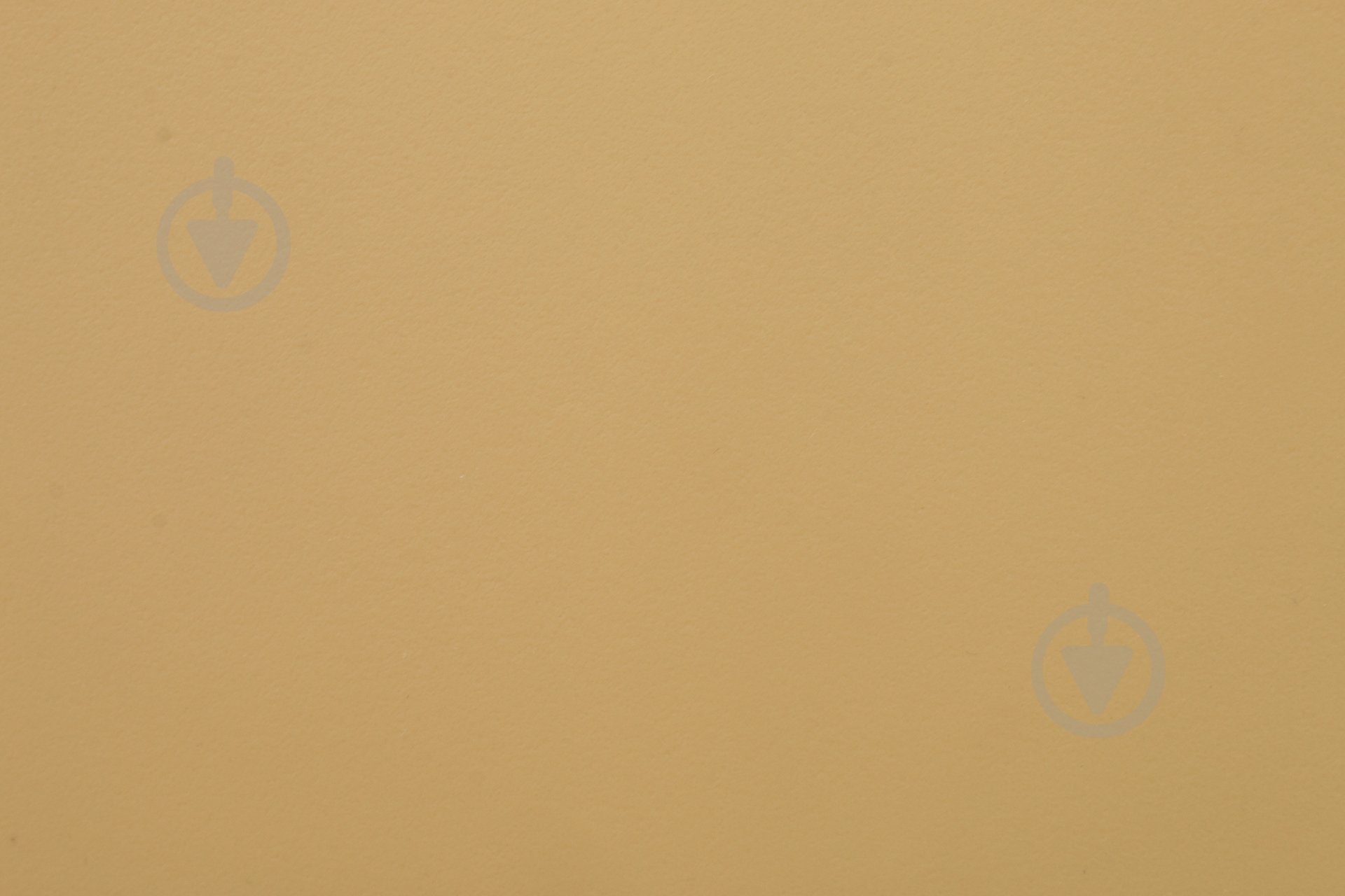 Стул обеденный Marie бежевый бук/бежевый - фото 4 Стул обеденный Marie бежевый бук/бежевый - фото 4