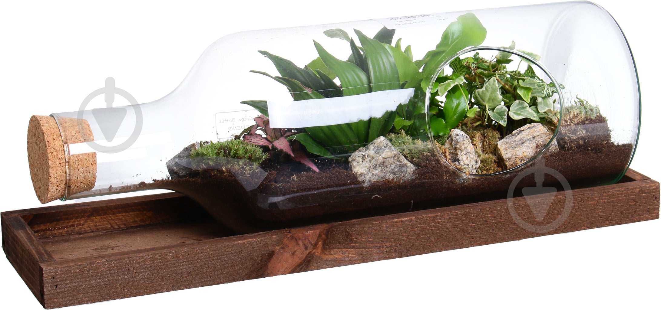 Тераріум в пляшці горизонтальній 48х20 см - фото 1