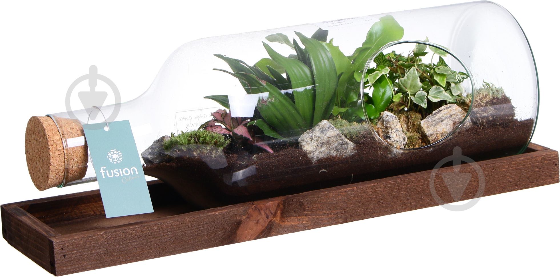 Тераріум в пляшці горизонтальній 48х20 см - фото 8