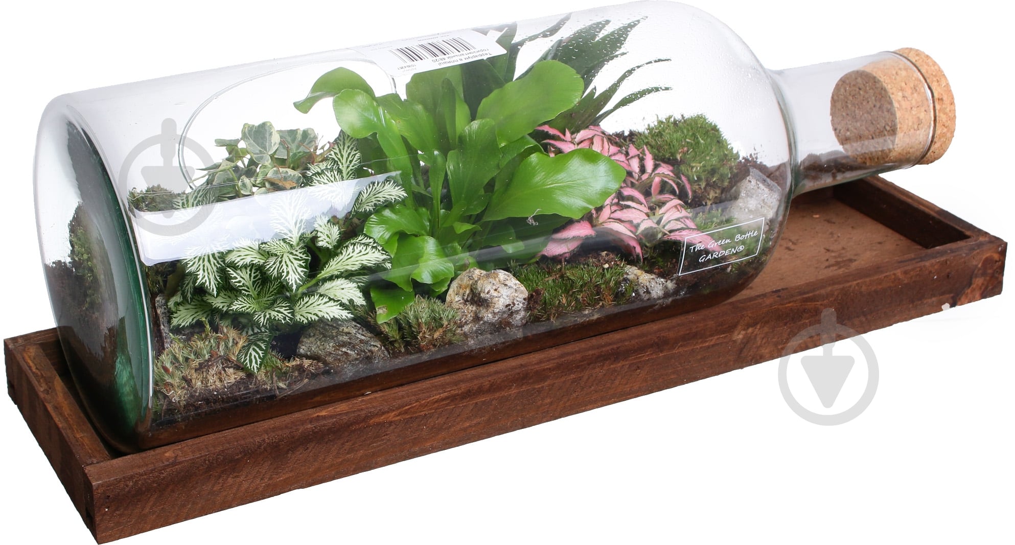 Тераріум в пляшці горизонтальній 48х20 см - фото 4