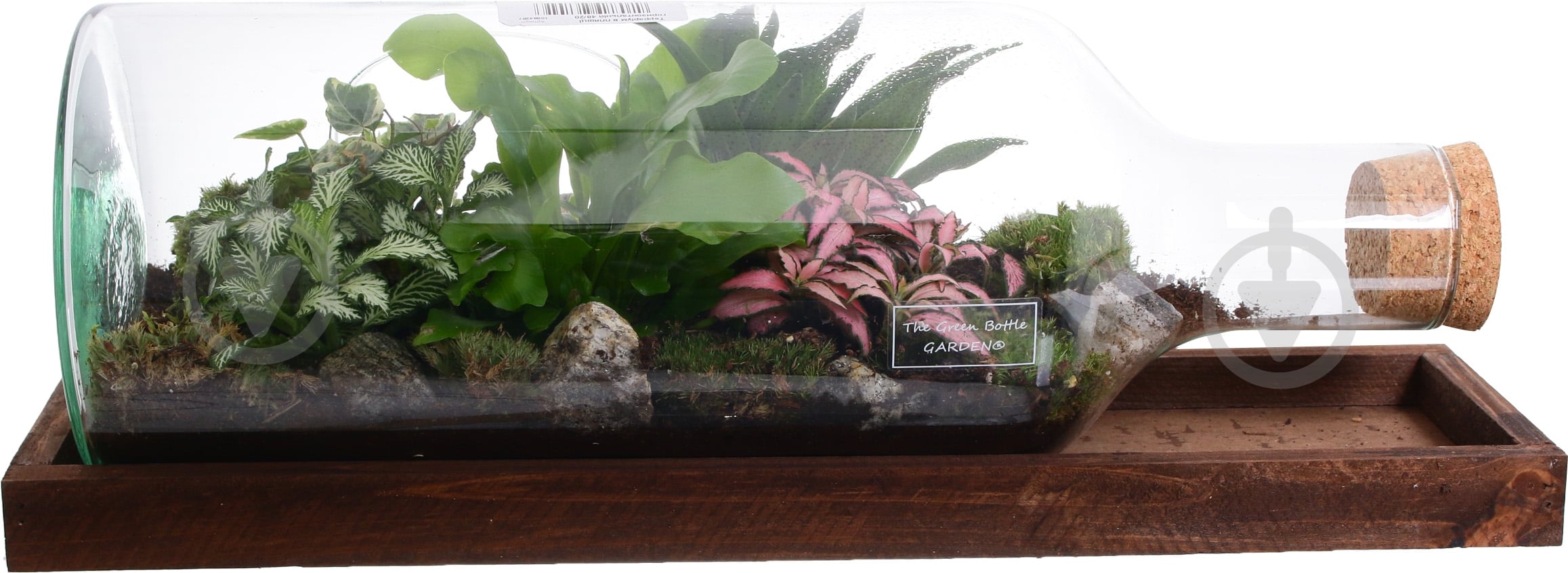 Тераріум в пляшці горизонтальній 48х20 см - фото 7