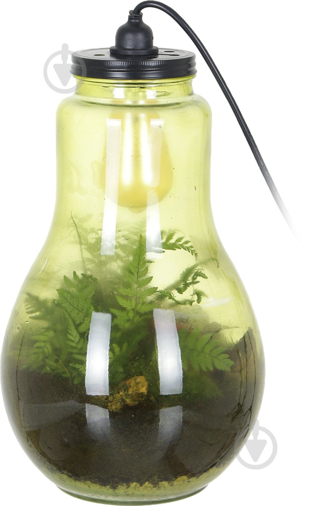 Террариум в лампе 24x40 см - фото 1 Террариум в лампе 24x40 см - фото 1