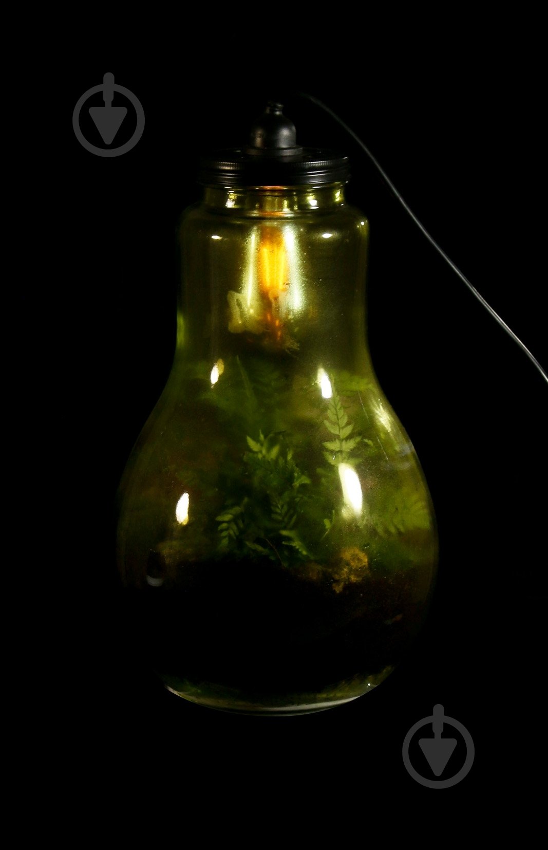 Террариум в лампе 24x40 см - фото 2 Террариум в лампе 24x40 см - фото 2