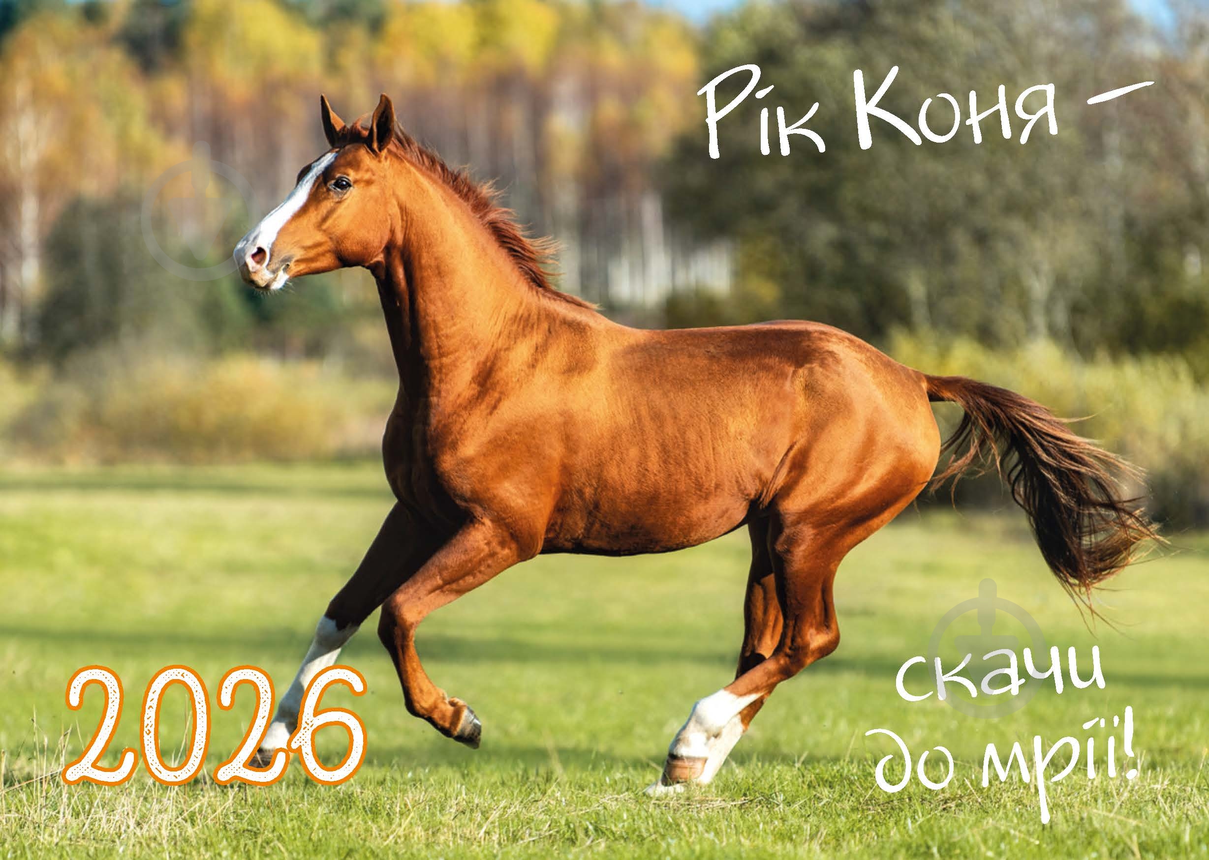 Календарь Діана Плюс Кишеньковий 2026 - фото 3