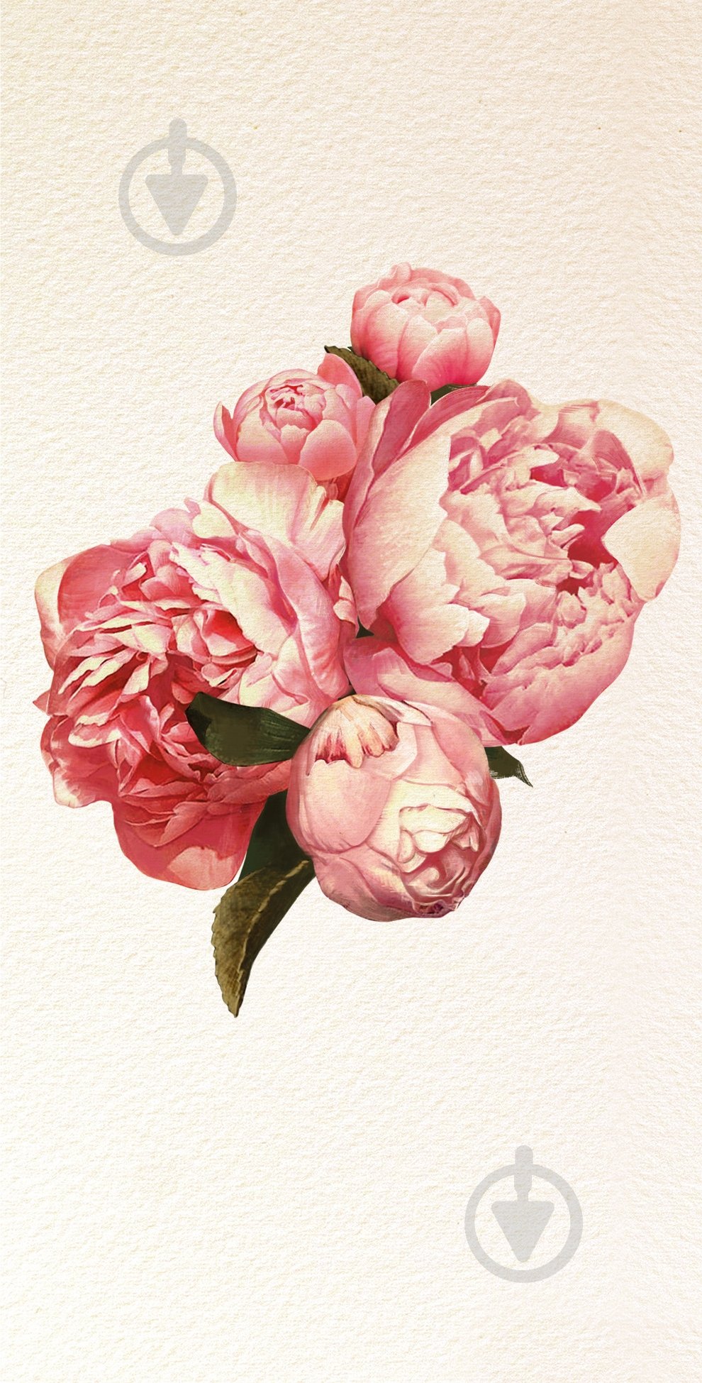 Конверт для денег KV003 - фото 1