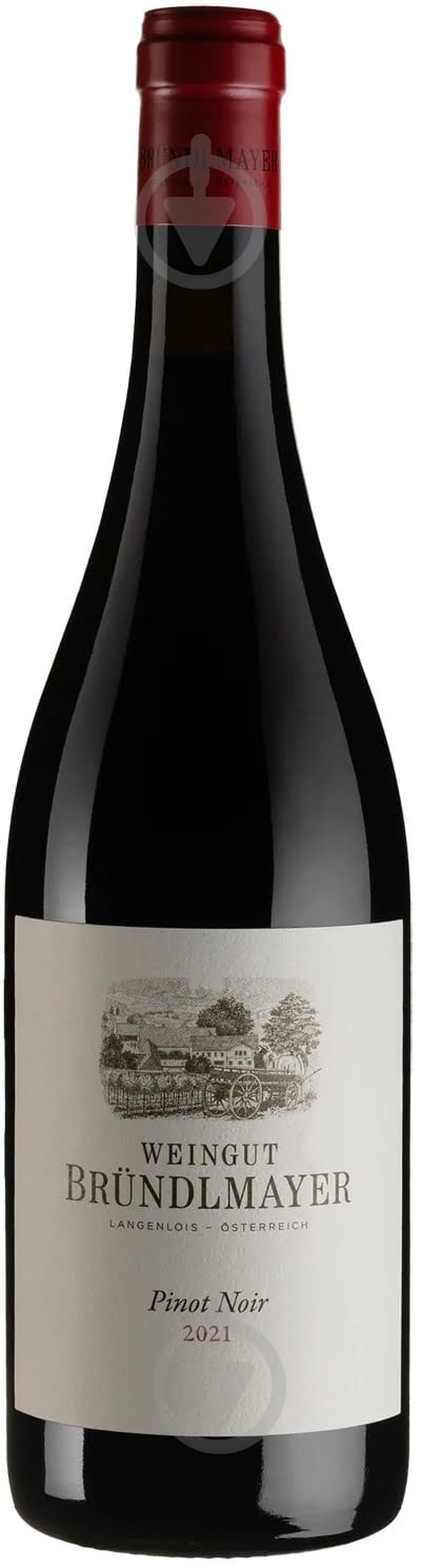 Вино Brundlmayer Pinot Noir Blauburgunder 2021 0,75 л - фото 1