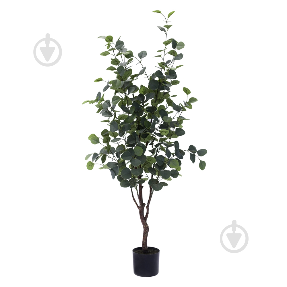 Дерево искусственное Eucalyptus 145 см TW-14 Engard - фото 1 Дерево искусственное Eucalyptus 145 см TW-14 Engard - фото 1