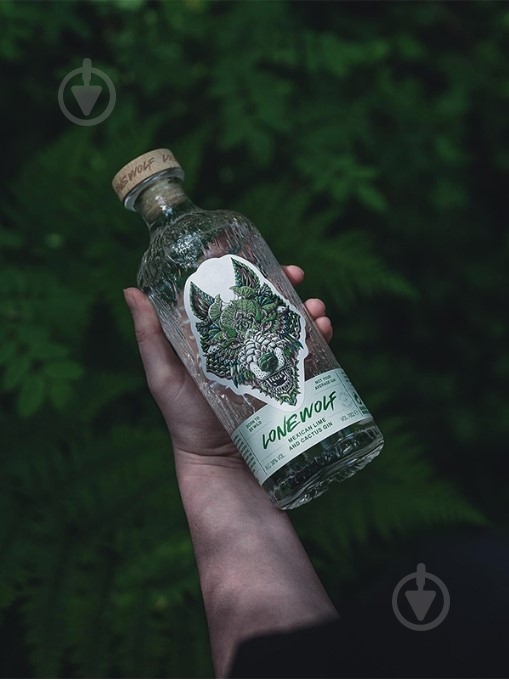 Джин BrewDog Mexican Lime & Cactus Gin 38% 0,7 л - фото 2 Джин BrewDog Mexican Lime & Cactus Gin 38% 0,7 л - фото 2