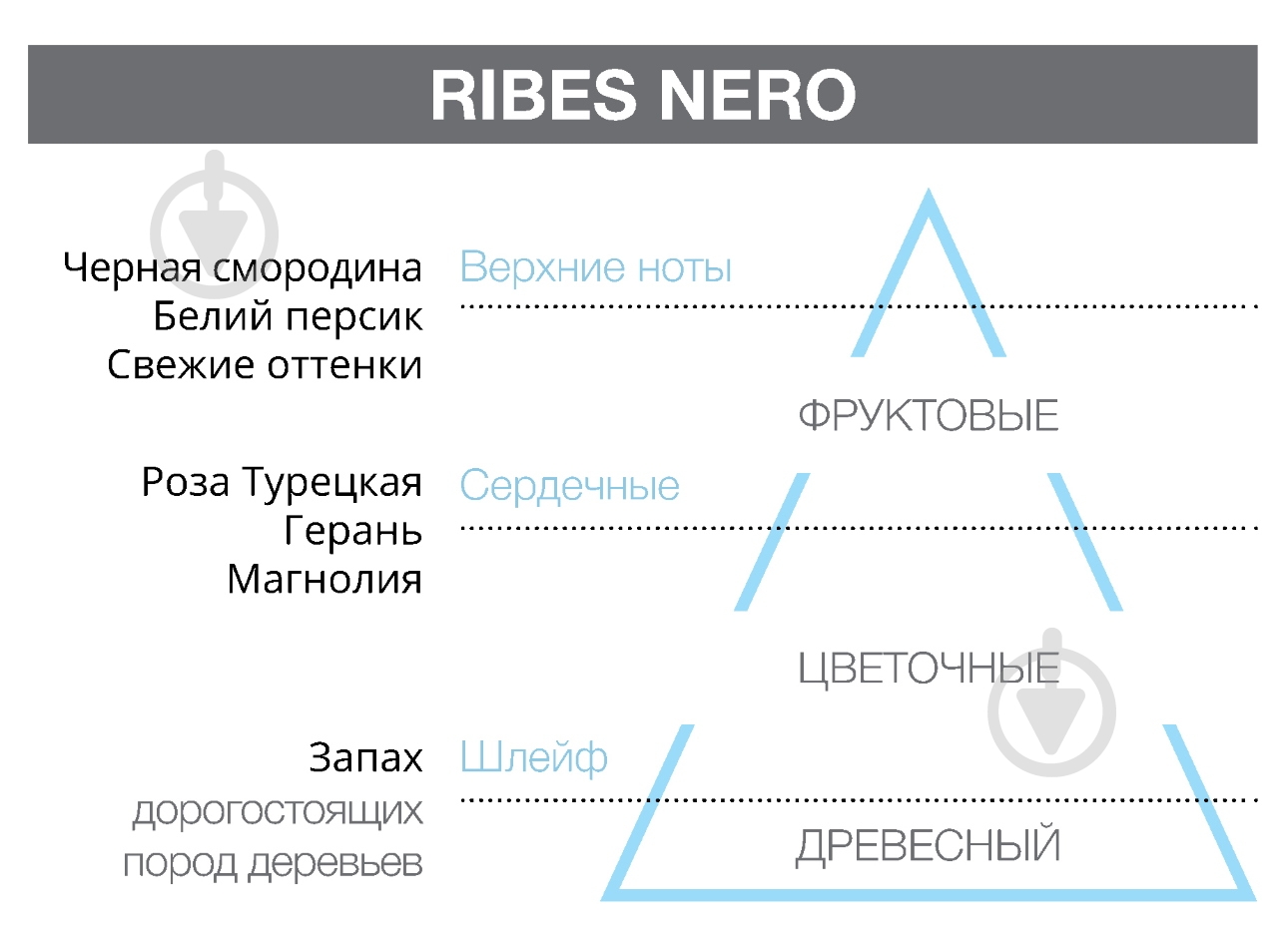 Запасной блок ASSOLUTE RIBES NERO 200 мл Hypno Casa - фото 2 Запасной блок ASSOLUTE RIBES NERO 200 мл Hypno Casa - фото 2