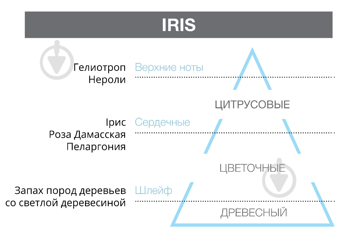 Запасной блок ASSOLUTE IRIS 200 мл Hypno Casa - фото 2