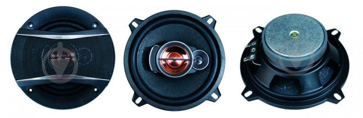 Акустическая система CYCLONE FX-132 - фото 4 Акустическая система CYCLONE FX-132 - фото 4
