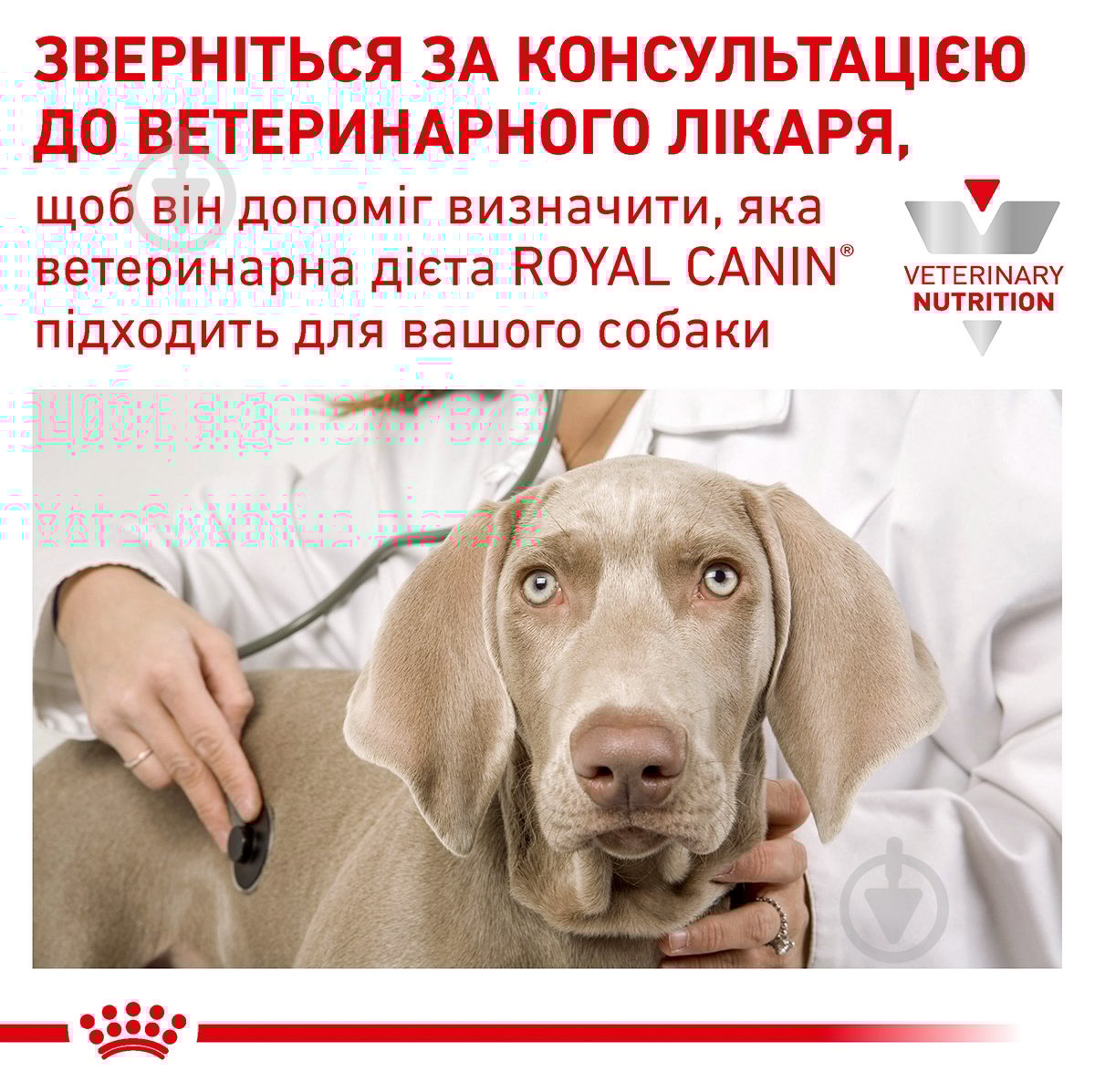 Корм сухой для собак для всех пород Royal Canin V.D. Skin Care 11 кг - фото 9 Корм сухой для собак для всех пород Royal Canin V.D. Skin Care 11 кг - фото 9