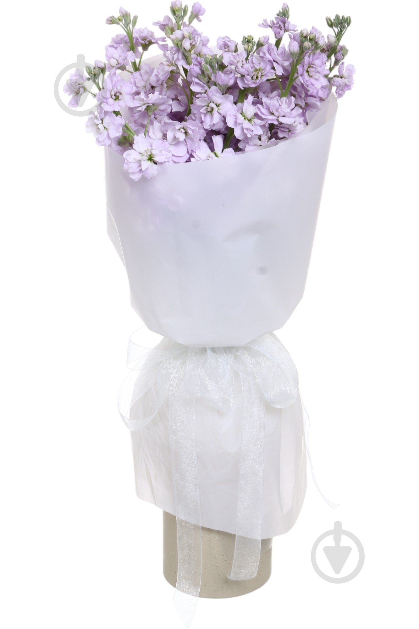 Матіола Figaro фіолетовий - фото 1