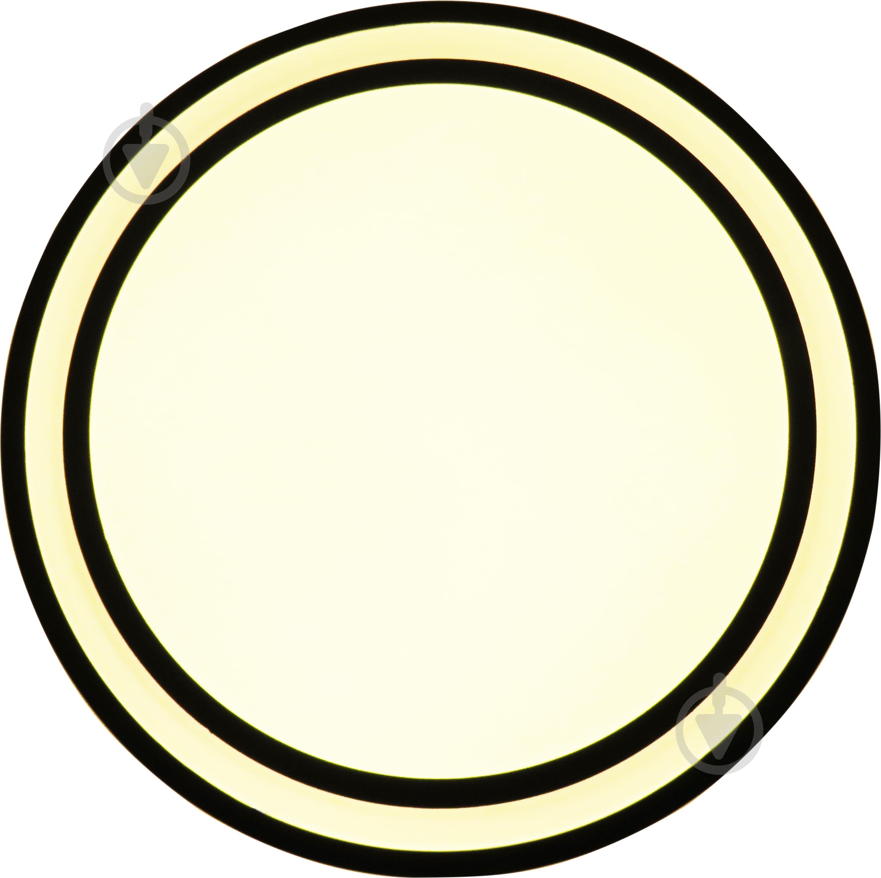 Світильник стельовий Sensio Palma 48 Вт білий 3000-6500 К AR-N250301151 - фото 2