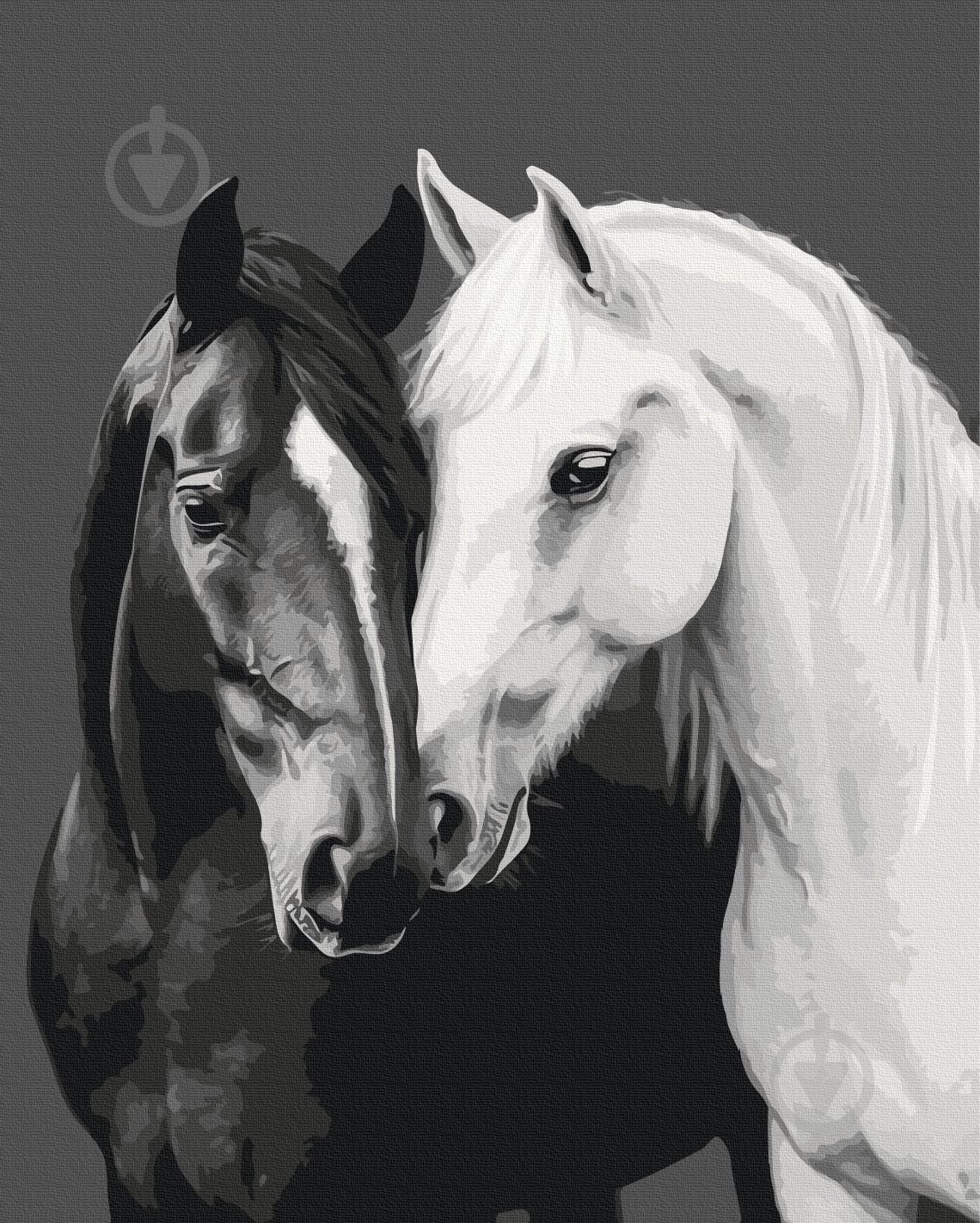 Картина по номерам Черное и белое сердце 40x50 см Brushme - фото 1