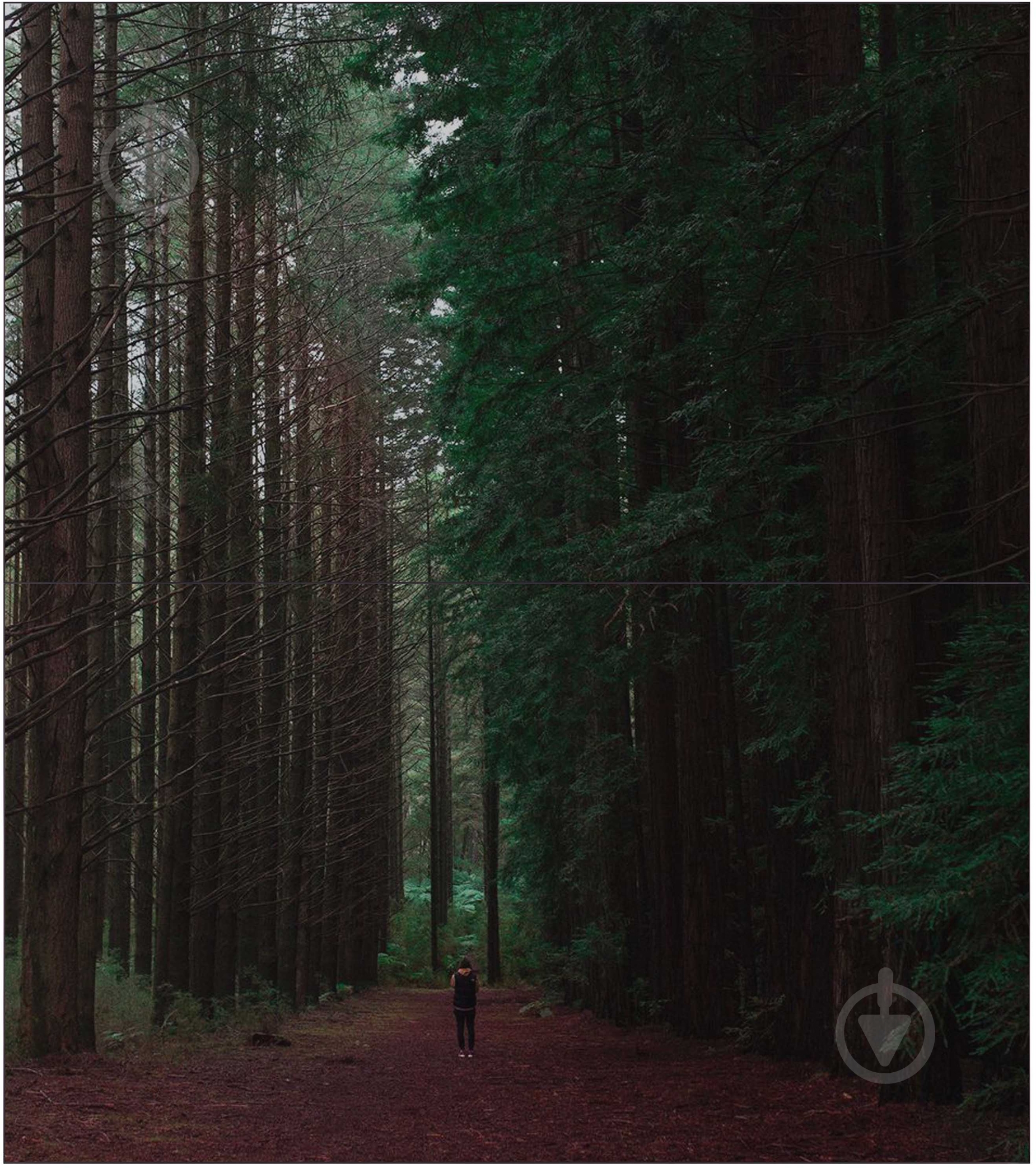 Дисплей информационный 2E 55" VE55L-A - фото 9 Дисплей информационный 2E 55" VE55L-A - фото 9