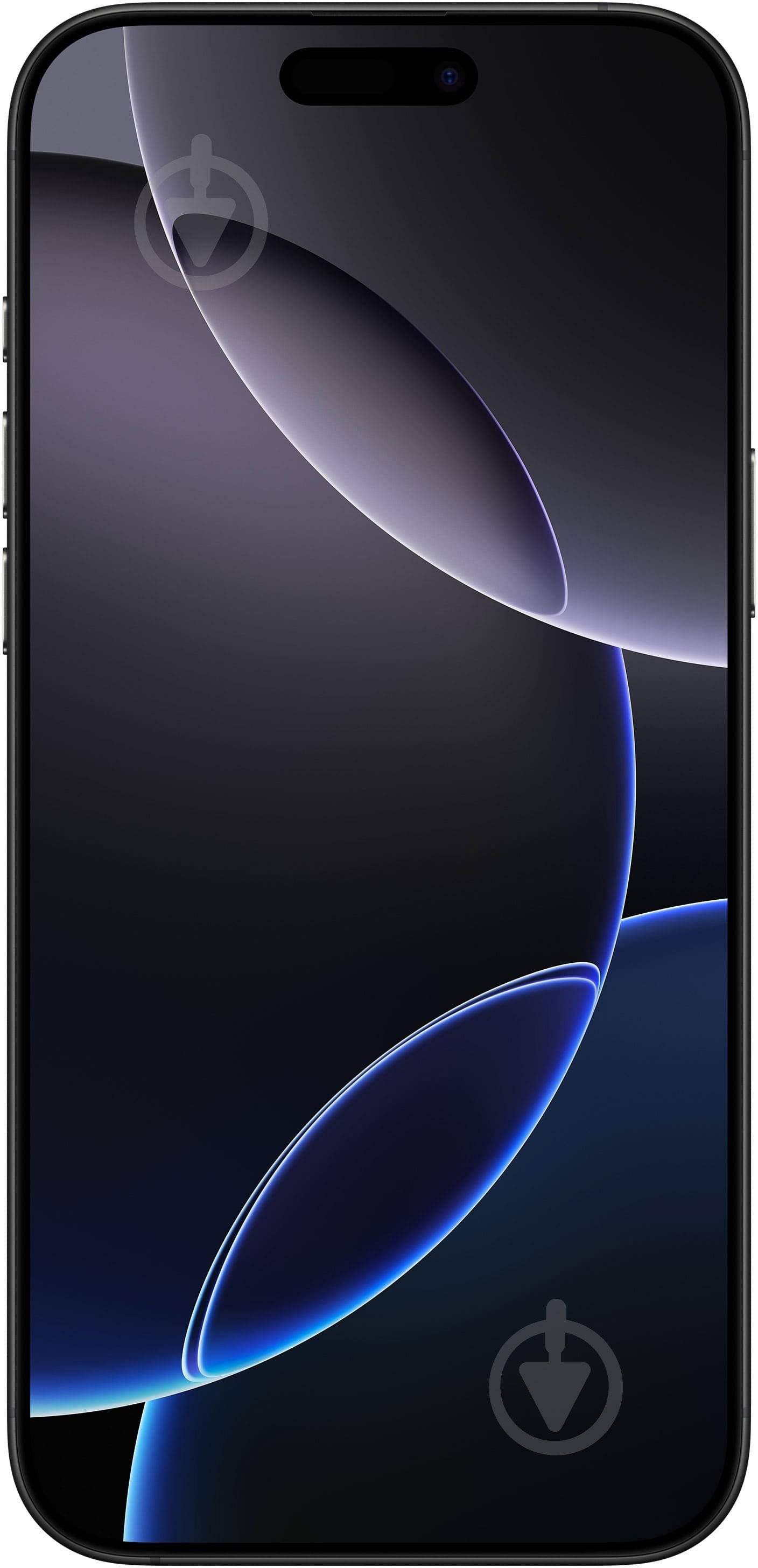 Смартфон Apple iPhone 16 Pro Max 256GB black titanium (MYWV3SX/A) - фото 2