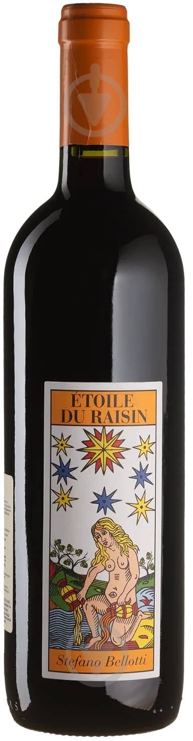 Вино Etoile du Raisin 2007 0,75 л - фото 1